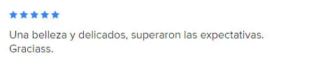 Opiniones Babuska