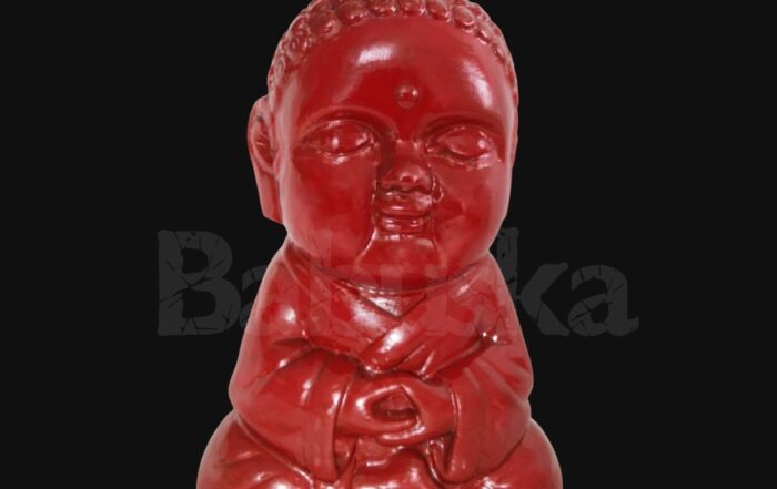 Sabiduria B206 Babuska